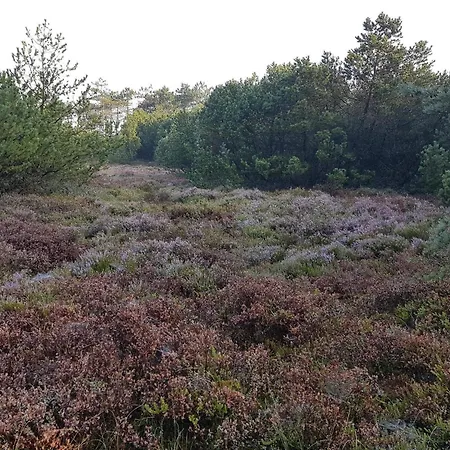 Luxury Retreat By Skaven - By Traum בית נופש Hemmet