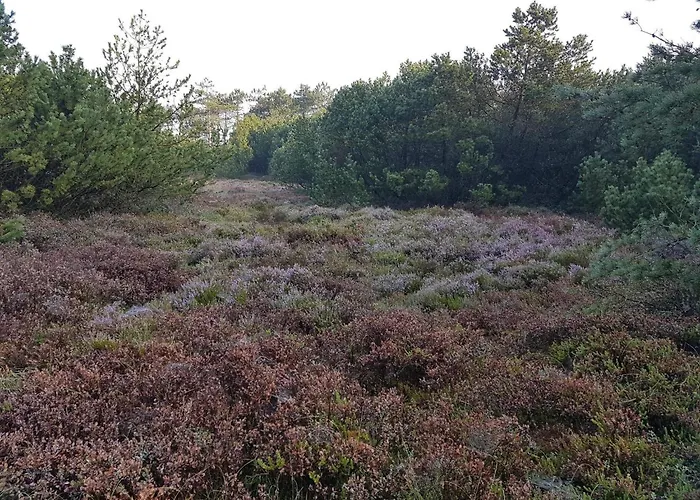 Luxury Retreat By Skaven - By Traum Dom wakacyjny Hemmet